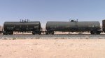 WB Manifest Frt at Erie NV -9